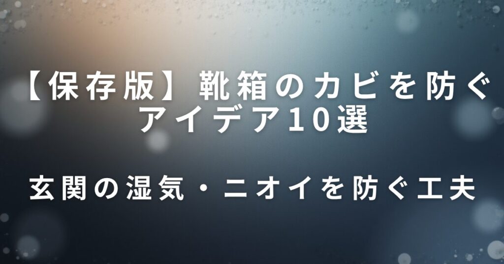 靴箱のカビを防ぐアイデア10選｜玄関のニオイ・湿気対策まとめ_工夫01
