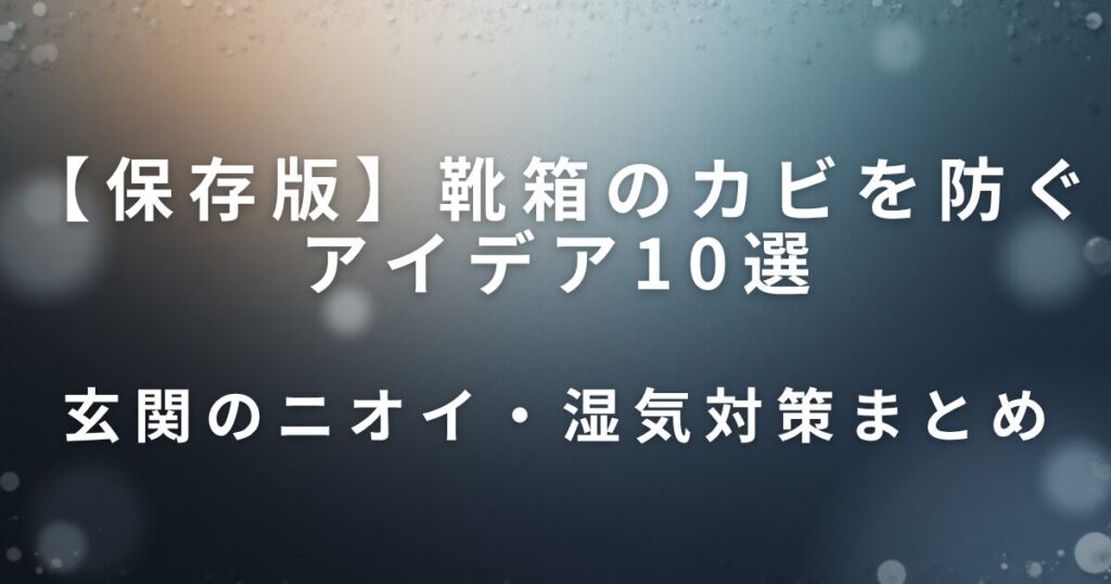 靴箱のカビを防ぐアイデア10選｜玄関のニオイ・湿気対策まとめ_01