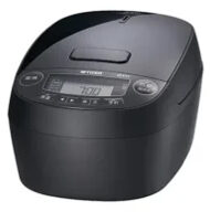 JPV-M100