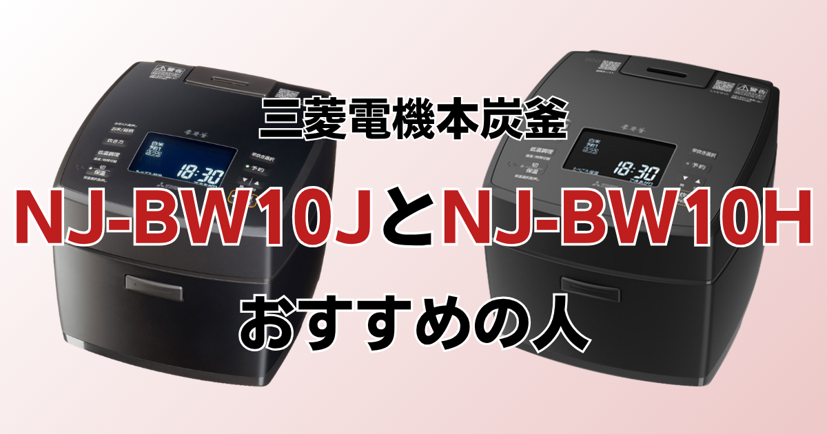 NJ-VW10JとNJ-VW10Hがおすすめの人