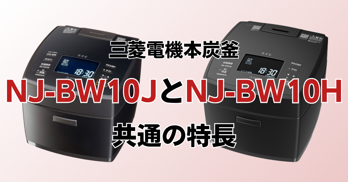 NJ-VW10JとNJ-VW10H共通の特長